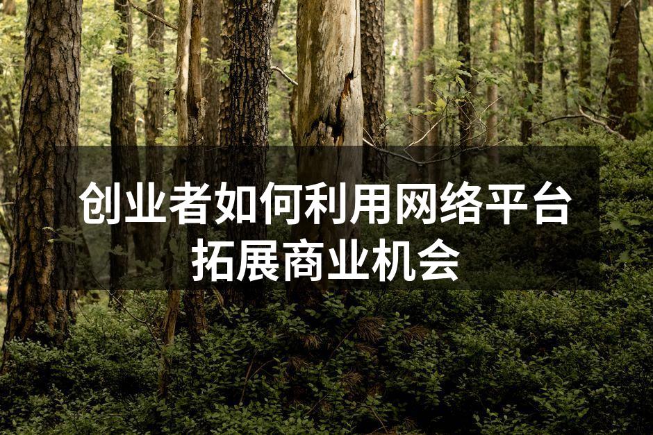 创业者如何利用网络平台拓展商业机会